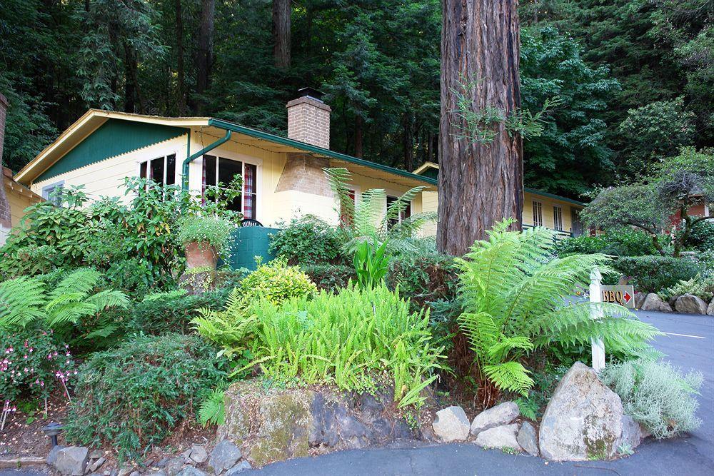 Fern Grove Cottages เกอร์นวิลล์ ภายนอก รูปภาพ
