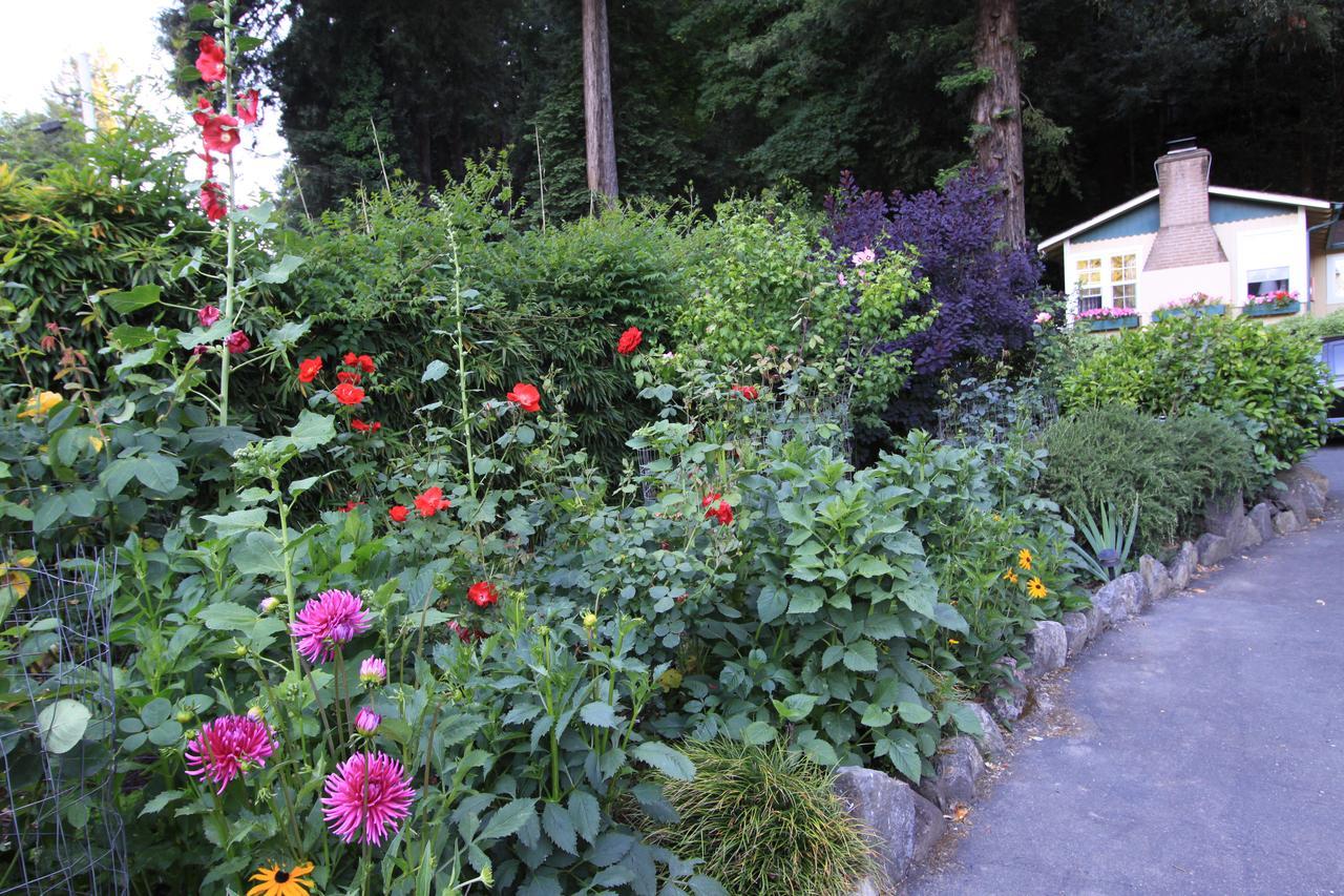Fern Grove Cottages เกอร์นวิลล์ ภายนอก รูปภาพ